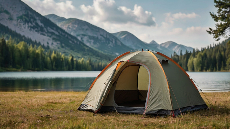 Camping tent in the forest