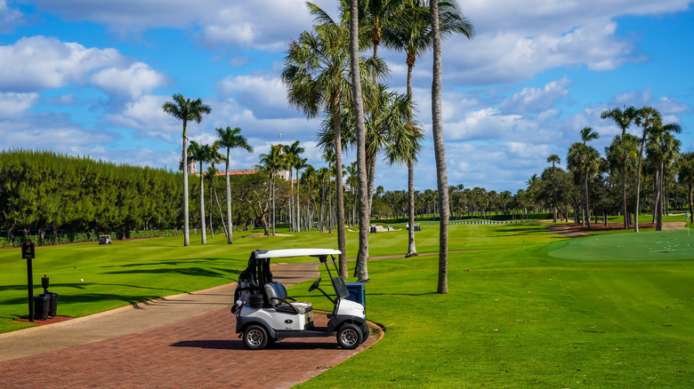 A look into the Ocean Course at The Breakers with a golf cart parked