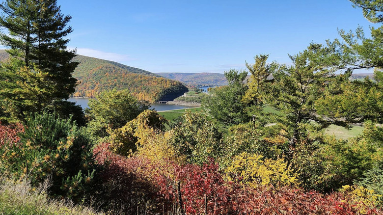 View from the Pennsylvania Welcome Center in Tioga