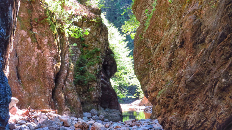 A scenic trail along a rocky riverbed which leads to Walton Glen Gorge in New Brunswick, Canada