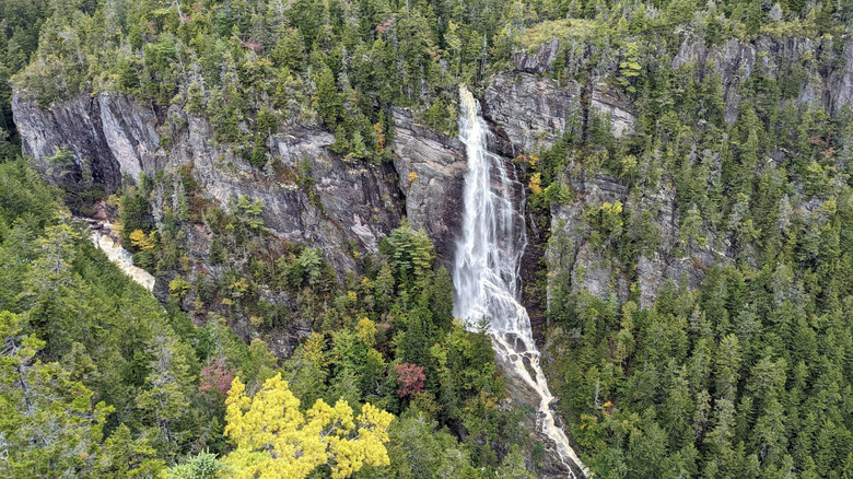 A large waterfall cascading over a cliff with trees within Walton Glen Gorge in New Brunswick, Canada