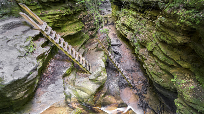 Ladders on a hiking trail through Turkey Run State Park