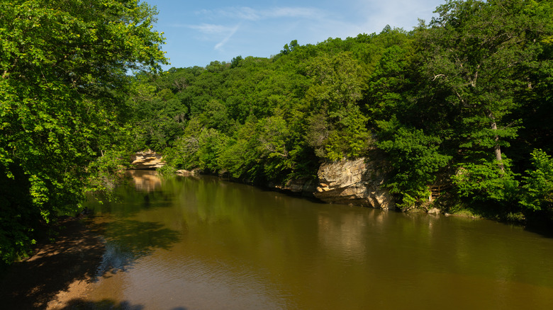 A view of Sugar Creek at Turkey Run State Park