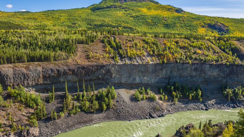 A sheer cliff rises above the Stikine River
