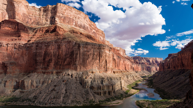 staggering red cliffs of the Grand Canyon from The Nankoweap Trail