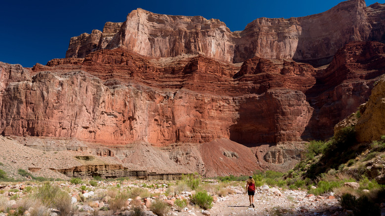 A hiker approaching the The Nankoweap Trail