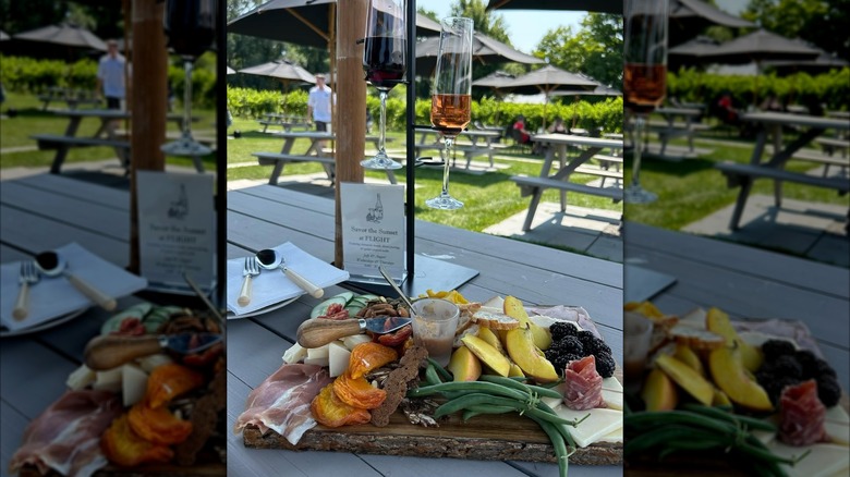 Wine tasting flight with charcuterie cheese board