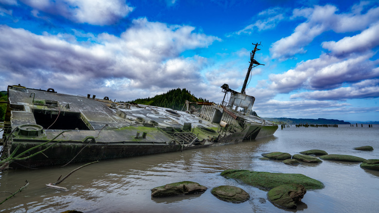 Shipwreck along the Columbia River under a blue sky
