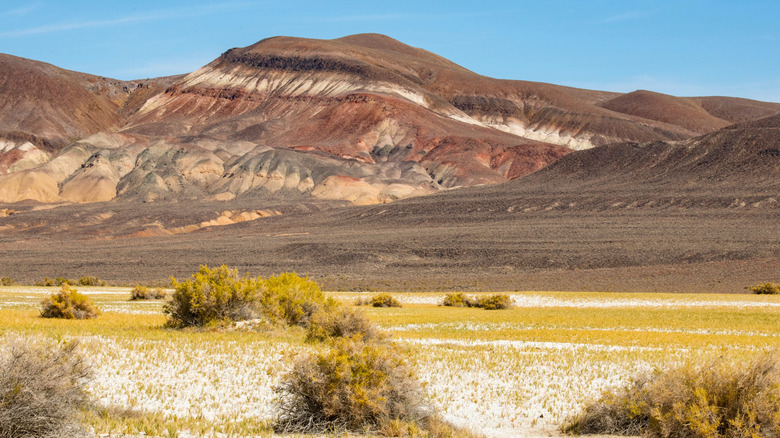 Black Rock Desert in Nevada