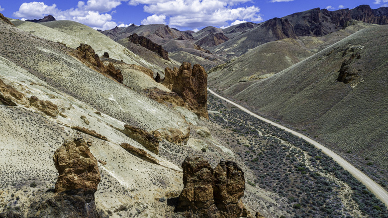 dirt road cuts through red rock formations in Owyhee Canyonlands