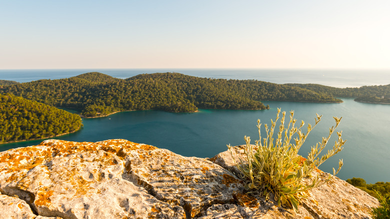 Scenic panorama of Mljet Island, Croatia, fully covered with greenery as from the rocks on sunny day
