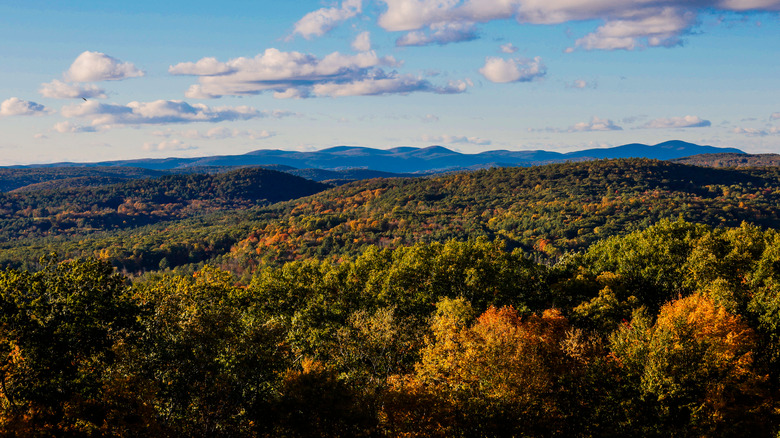 The view of the Berkshires from atop Mohawk Mountain in Cornwall, Connecticut