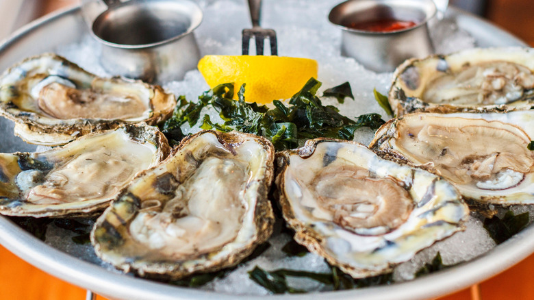 Oysters on the half-shell