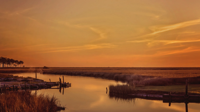 Heron Bay, Coden, Alabama