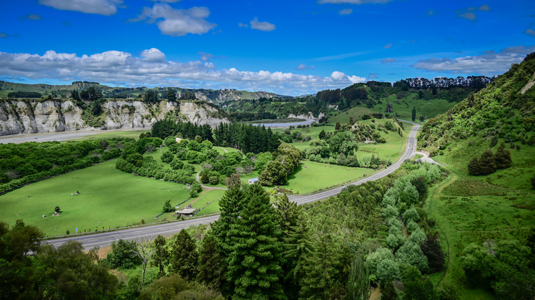 The rolling landscape of Taihape, New Zealand with Rangitikei River in the distance