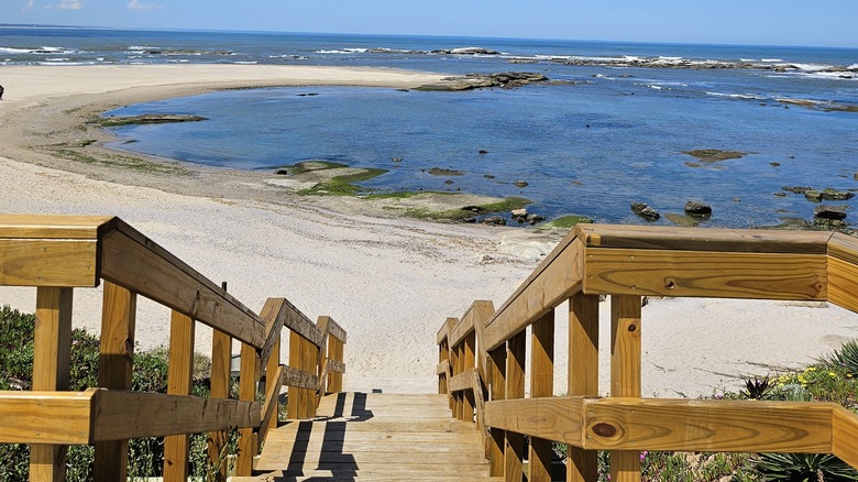 Wooden stairs lead down to a beach in Jose Ignacio
