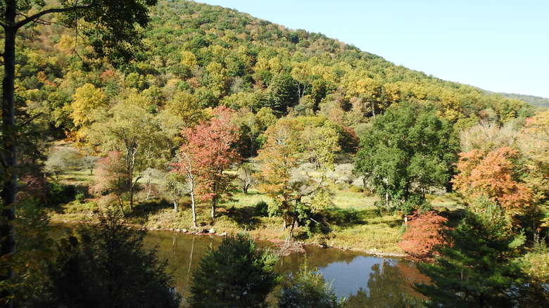 The scenic Miller Run Wildlife Viewing Area, during the autumn season, overlook of the Sinnemahoning Creek within the Elk State Forest, Cameron County, Pennsylvania.