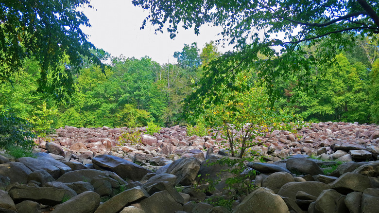 The Sonorous Stones of Ringing Rocks Park, near Falls Creek Waterfall in Bucks County, Pennsylvania.