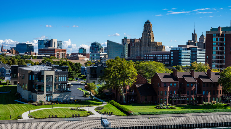 Buffalo skyline during summertime