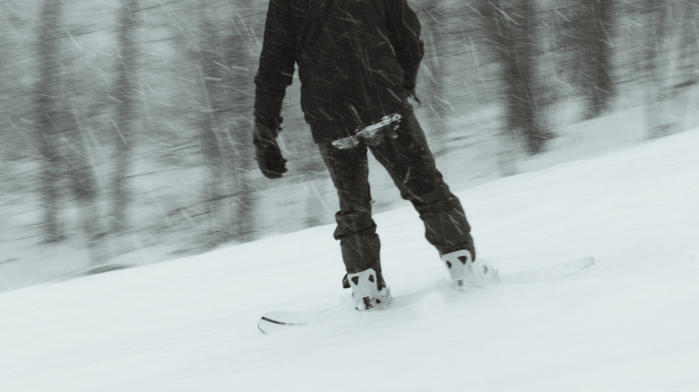 Snowboarder riding in fresh powder at Belleayre