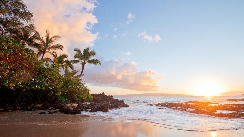 A Hawaiian beach at sunset