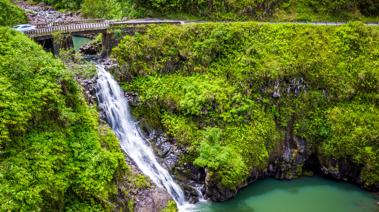 Waterfall along the Road to Hana