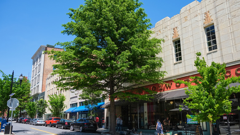 Facade of Woolworth Walk in Asheville, North Carolina