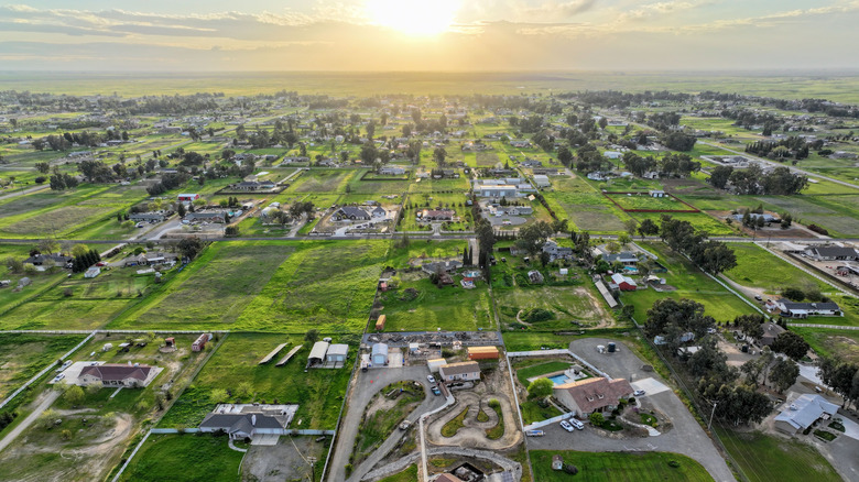 Greenery and buildings in Madera, California, at sunrise
