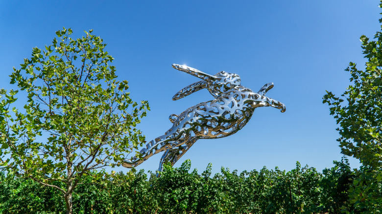 Napa Valley's Heart: A Wine Country City Offering Exquisite Sips, Luxurious Resorts, Art, and Scenic Views