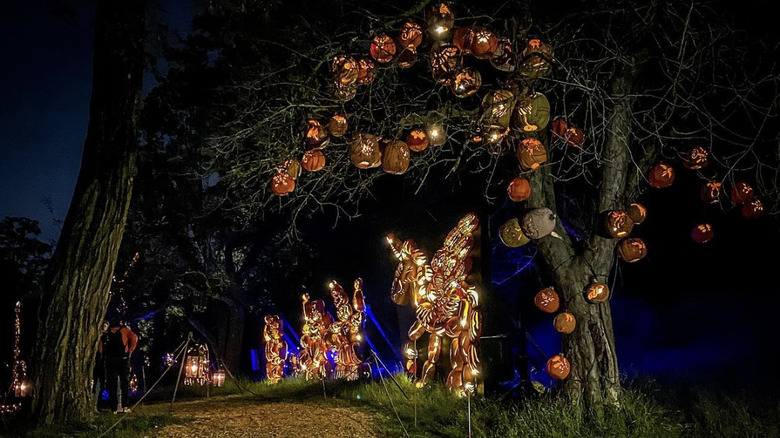 Carved pumpkins along the trail at the Great Jack O'Lantern Blaze