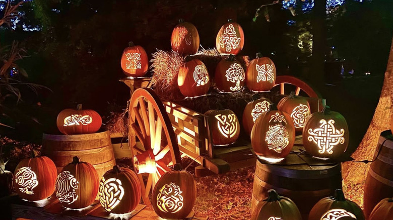 Glowing pumpkins with carved designs at the Great Jack O'Lantern Blaze