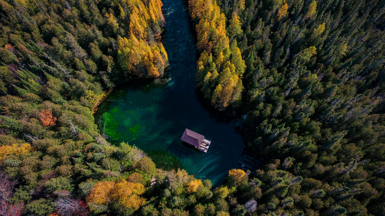 An aerial view of a lake surrounded by pine trees in Manistique, Michigan.
