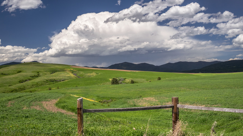 Green field and backdrop of mountains in Lewistown