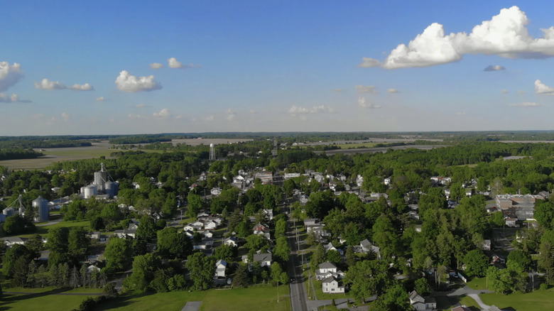 blue sky with clouds over green trees and buildings