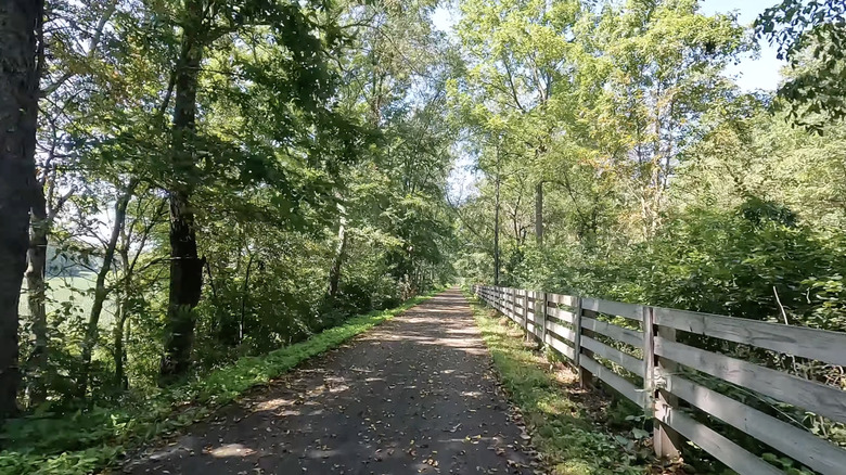 trail with wood fences and green tress under blue sky