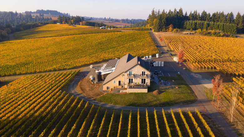 aerial view of Björnson Vineyard, with solar panels on main building