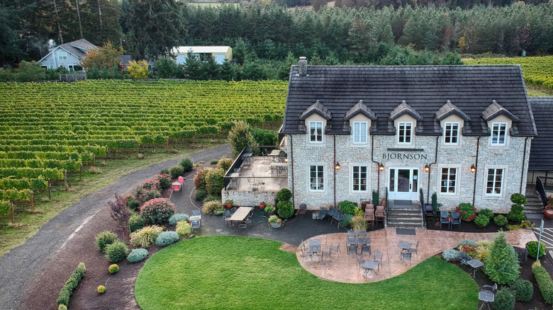 Aerial view of Björnson Vineyard main building and vineyards.