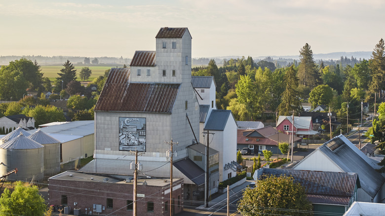 Aerial view of buildings and forests in Carlton, Oregon.
