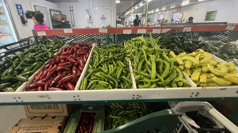 Bins of fresh peppers at Sanwa Farmers Market in Tampa, Florida