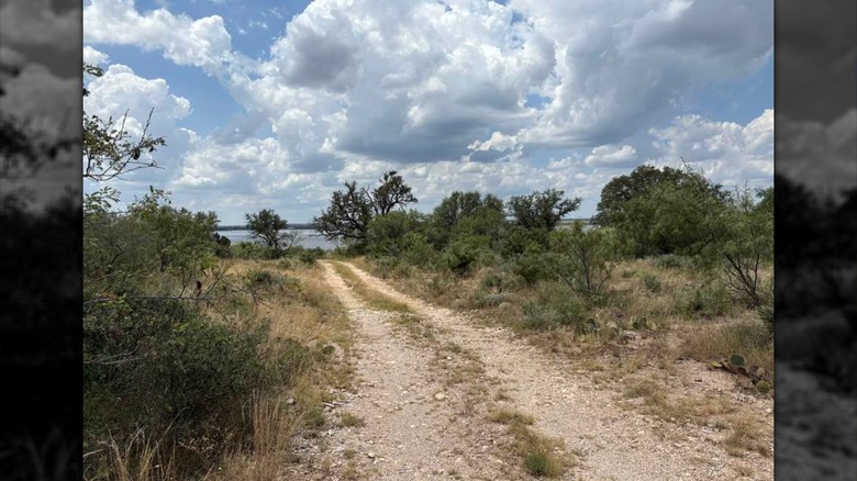 The wilds of Brady, Texas