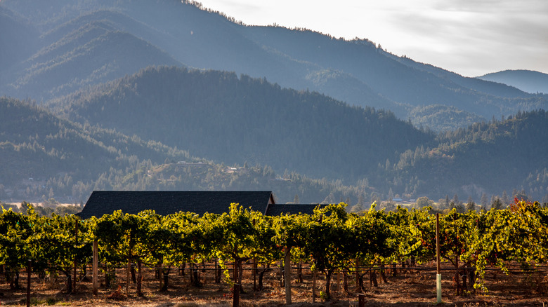 picture of a Rogue Valley winery in Oregon