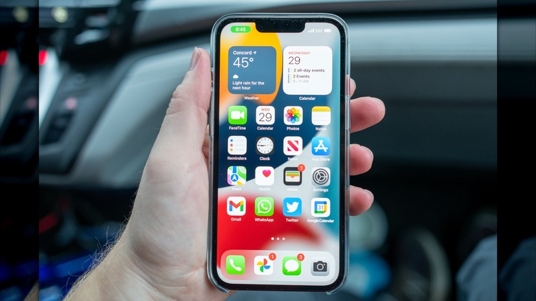 Hand holds iPhone up in car.