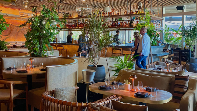 A look at the interior of MILA Miami, showing round booths and lots of plants.