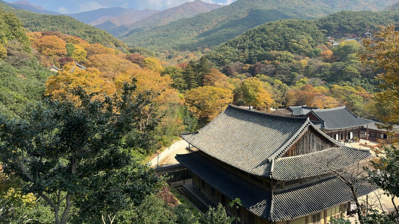 Buddhist temple in Jirisan National Park