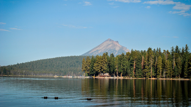 Lake of the Woods on clear day with cabin and mountain visible.
