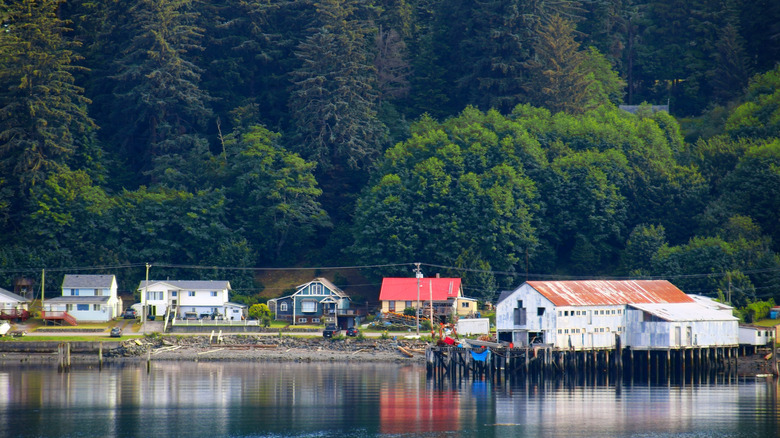 Fishing village of Alert Bay along the water during the daytime, with trees in the background