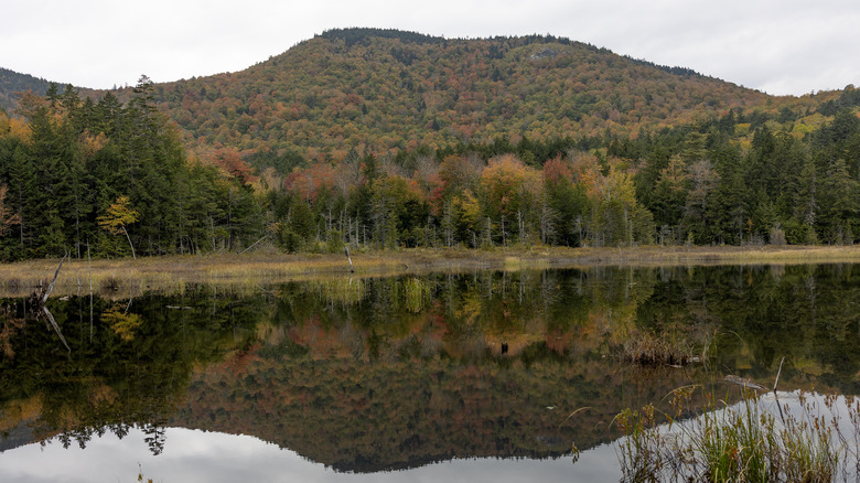 White Mountain National Forest