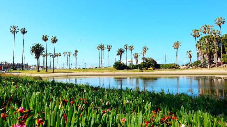 View of Del Rey Lagoon in Playa del Rey