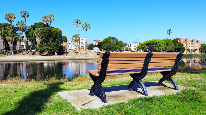 Bench at Del Rey Lagoon in Playa del Rey