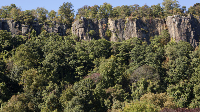The Palisades cliffs along a scenic byway in New Jersey